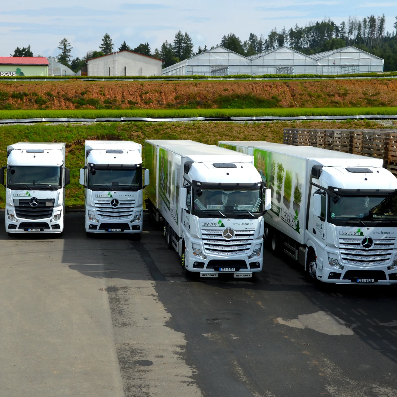 Divize dopravy Divize dopravy