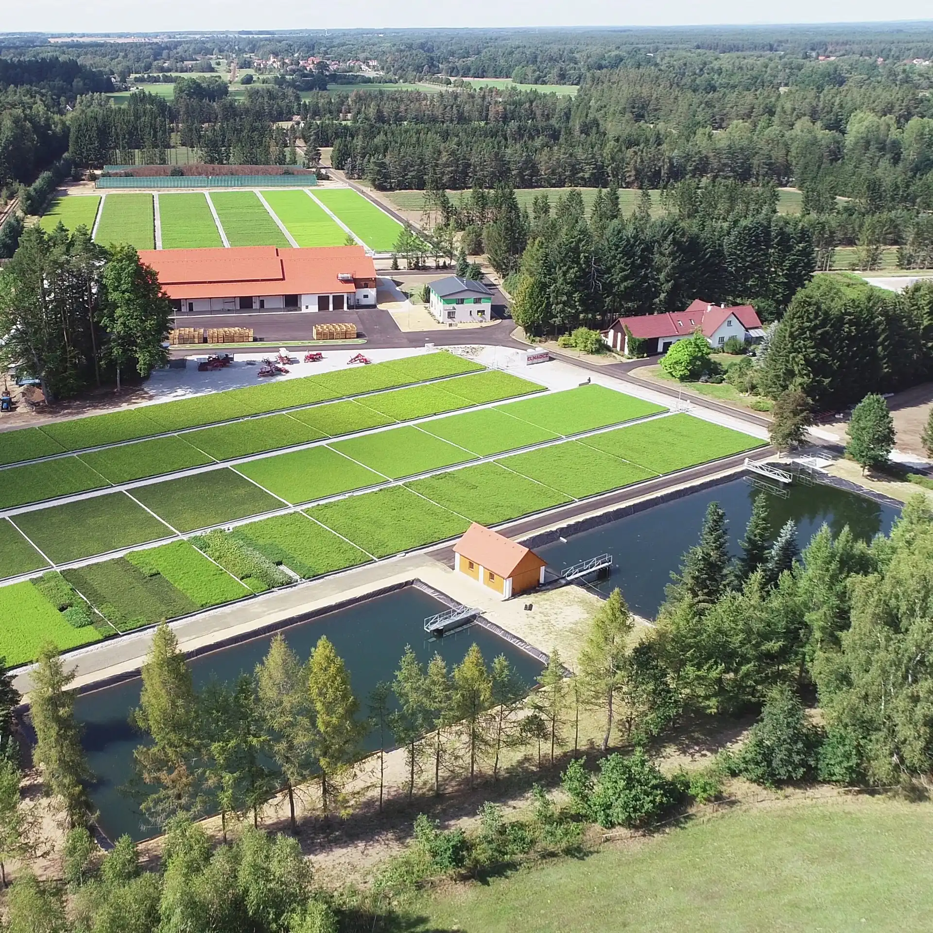 Lesní školka Žofinka -Nová Ves nad Lužnicí