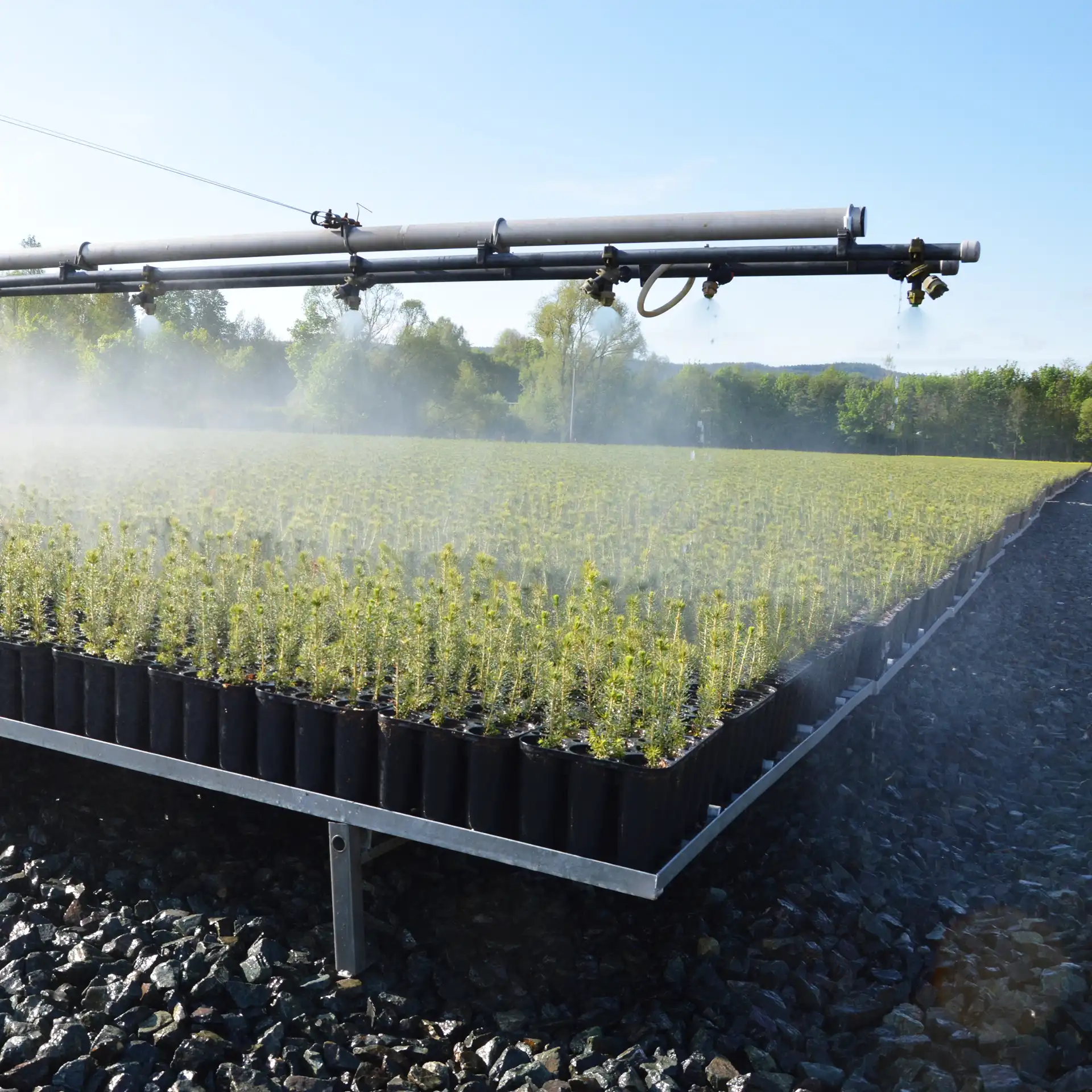 Lesní školka Nové Zámky - Hostinné