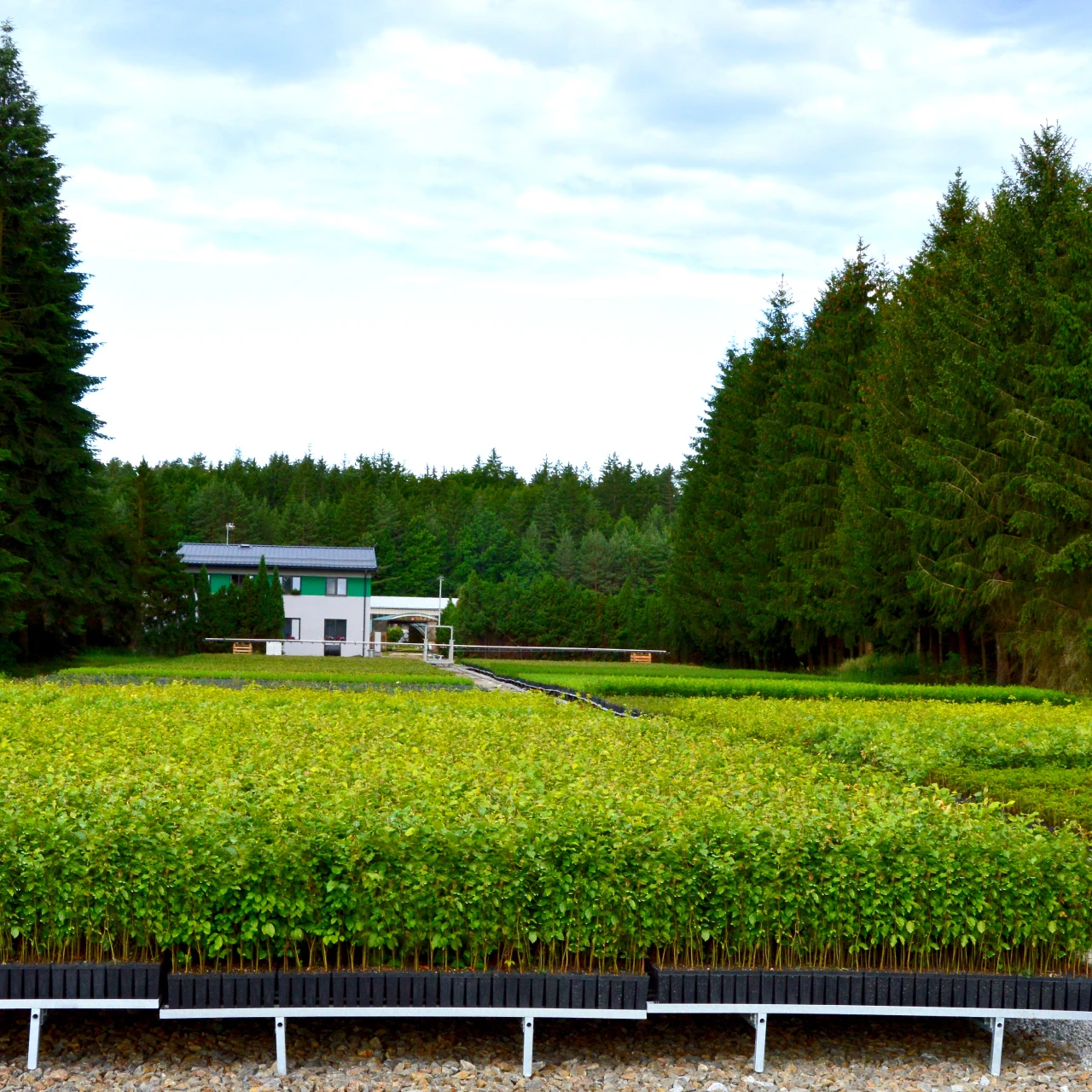 Dotace Lesní školka Žofinka